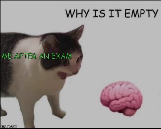 why is it empty? | ME AFTER AN EXAM | image tagged in why is it empty | made w/ Imgflip meme maker