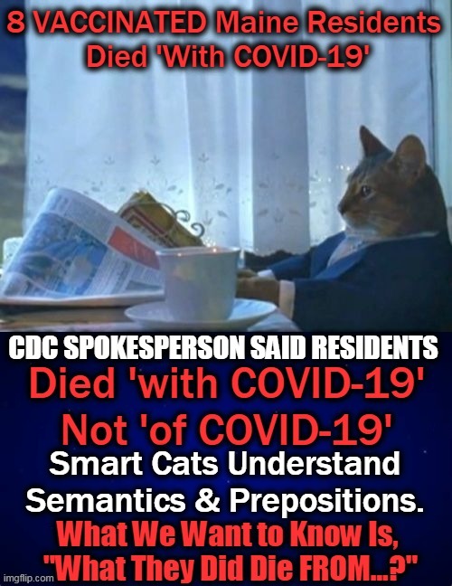 Clever Cats Have Nine Lives; We Just Have ONE... | image tagged in politics,covid-19,vaccine,death,mystery | made w/ Imgflip meme maker