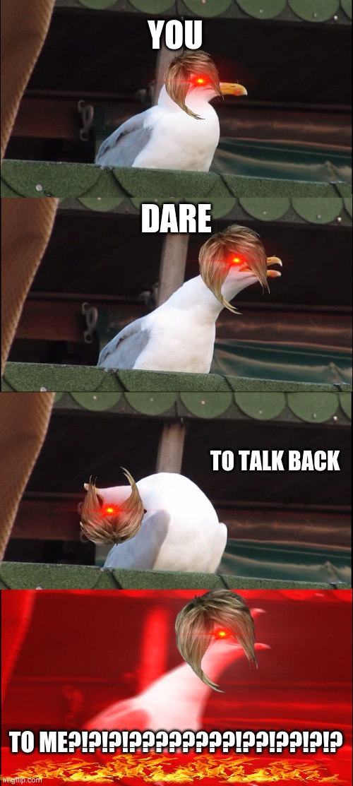 Inhaling Seagull | YOU; DARE; TO TALK BACK; TO ME?!?!?!????????!??!??!?!? | image tagged in memes,inhaling seagull,omg karen,funni | made w/ Imgflip meme maker
