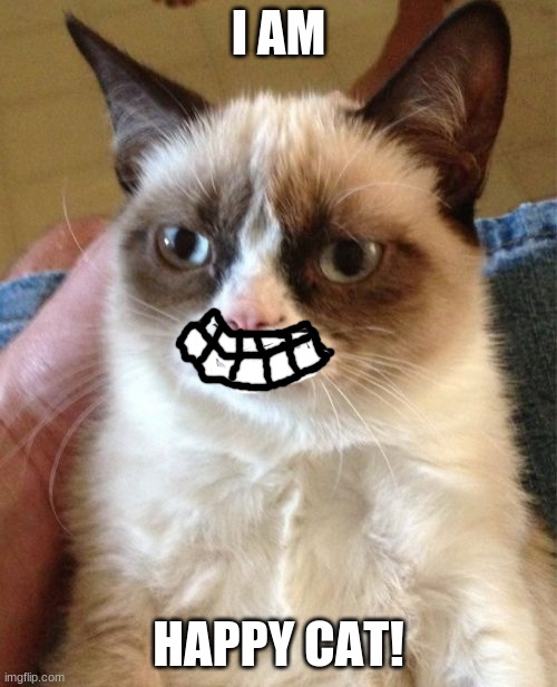 Happy cat! | I AM; HAPPY CAT! | image tagged in memes,grumpy cat | made w/ Imgflip meme maker