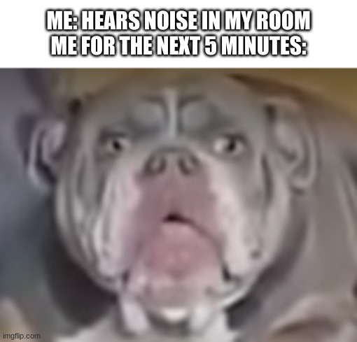 ME: HEARS NOISE IN MY ROOM
ME FOR THE NEXT 5 MINUTES: | made w/ Imgflip meme maker