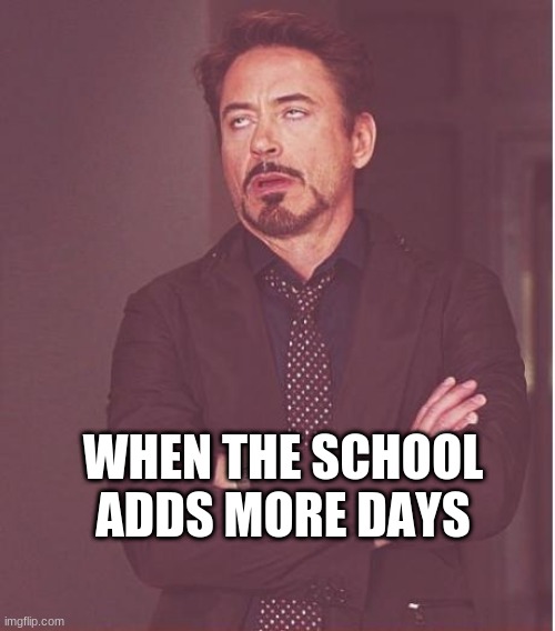 Face You Make Robert Downey Jr Meme | WHEN THE SCHOOL ADDS MORE DAYS | image tagged in memes,face you make robert downey jr | made w/ Imgflip meme maker