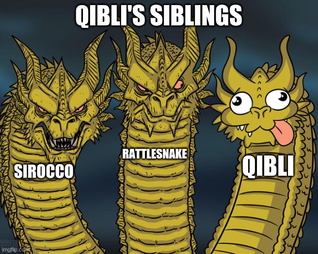 Qibli's siblings | QIBLI'S SIBLINGS; RATTLESNAKE; QIBLI; SIROCCO | image tagged in three-headed dragon | made w/ Imgflip meme maker