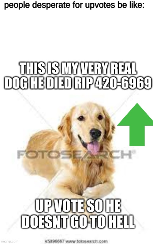 people desperate for upvotes be like:; THIS IS MY VERY REAL DOG HE DIED RIP 420-6969; UP VOTE SO HE DOESNT GO TO HELL | image tagged in memes,blank transparent square | made w/ Imgflip meme maker