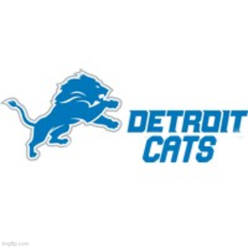 Detroit cats are better that Detroit lions | image tagged in football,detroit,lions | made w/ Imgflip meme maker