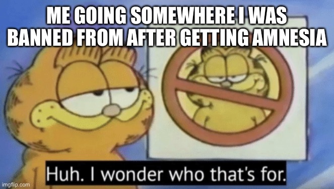 Garfield wonders |  ME GOING SOMEWHERE I WAS BANNED FROM AFTER GETTING AMNESIA | image tagged in garfield wonders,amnesia,banned | made w/ Imgflip meme maker