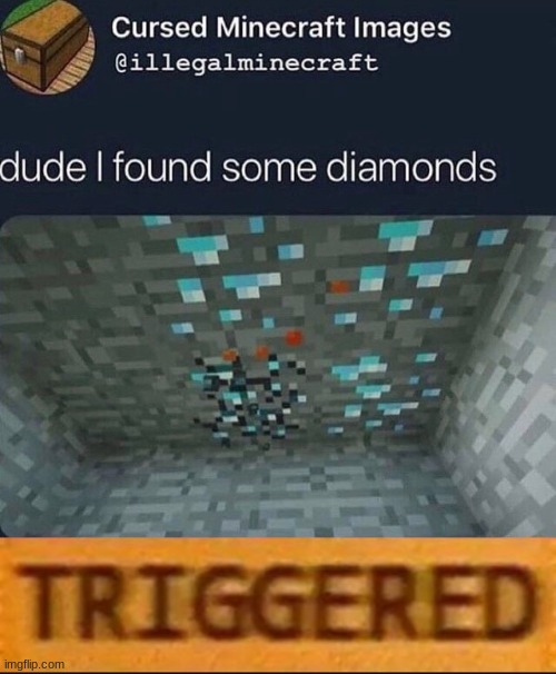 NOOOOOOOO | image tagged in roblox triggered | made w/ Imgflip meme maker