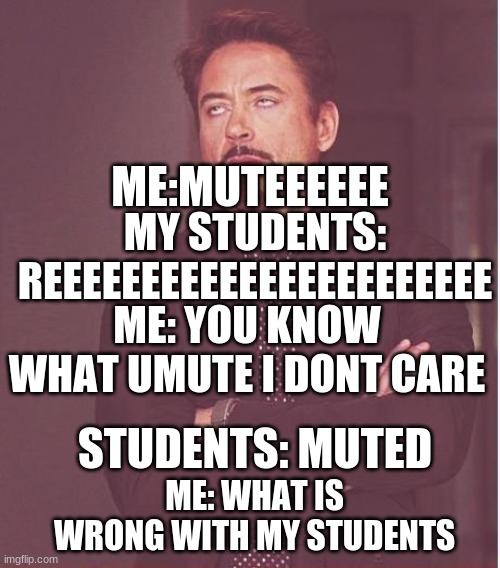 Face You Make Robert Downey Jr Meme | ME:MUTEEEEEE; MY STUDENTS: REEEEEEEEEEEEEEEEEEEEEEE; ME: YOU KNOW WHAT UMUTE I DONT CARE; STUDENTS: MUTED; ME: WHAT IS WRONG WITH MY STUDENTS | image tagged in memes,face you make robert downey jr | made w/ Imgflip meme maker