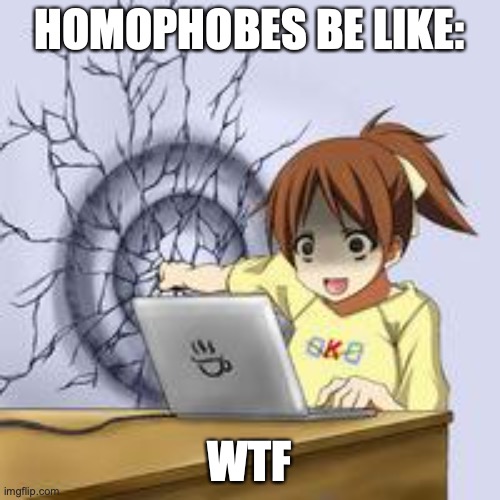 Anime wall punch | HOMOPHOBES BE LIKE: WTF | image tagged in anime wall punch | made w/ Imgflip meme maker