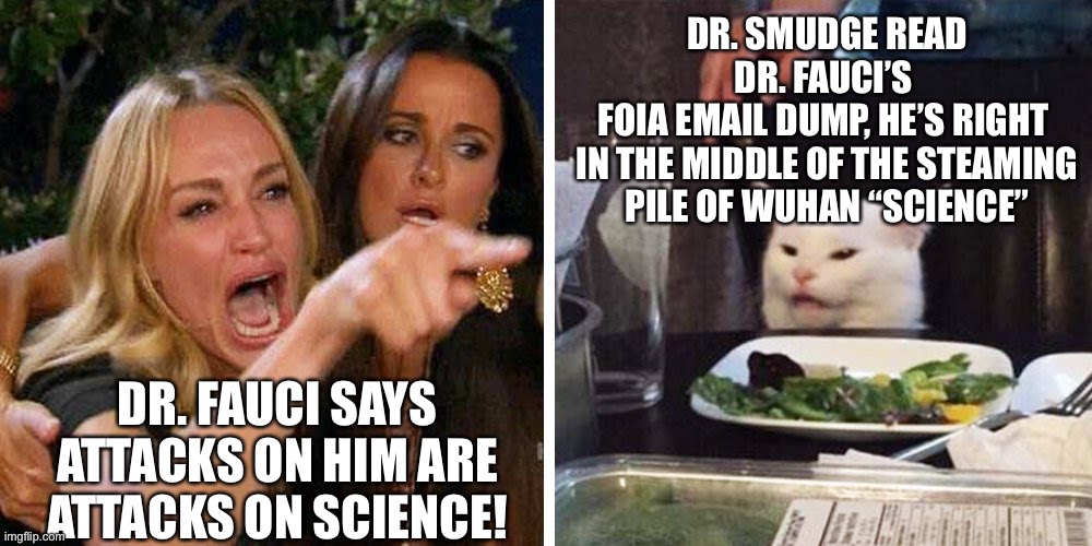 Dr. Fauci Says Attacks On Him Are Attacks on Science! | DR. SMUDGE READ DR. FAUCI’S 
FOIA EMAIL DUMP, HE’S RIGHT 
IN THE MIDDLE OF THE STEAMING PILE OF WUHAN “SCIENCE”; DR. FAUCI SAYS ATTACKS ON HIM ARE ATTACKS ON SCIENCE! | image tagged in smudge the cat,fauci,covid cover up,wuhan virus origin | made w/ Imgflip meme maker
