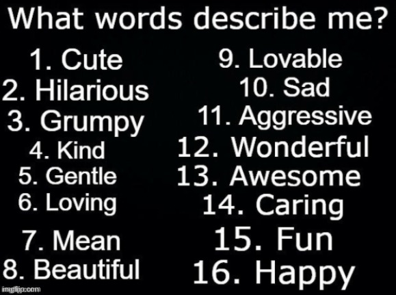 What words describe me guys? | image tagged in describe me,yay,what will you choose,hmmmm | made w/ Imgflip meme maker