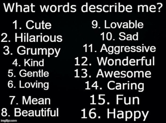 What Words Describe Me Guys Imgflip