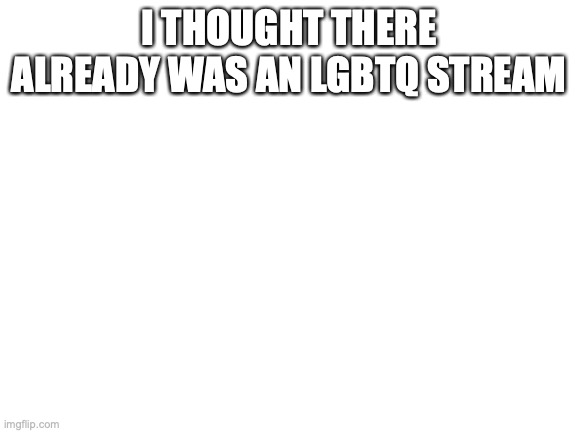 Blank White Template | I THOUGHT THERE ALREADY WAS AN LGBTQ STREAM | image tagged in blank white template | made w/ Imgflip meme maker