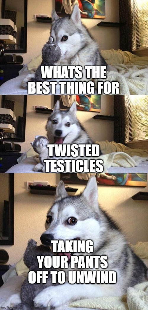Bad Pun Dog | WHATS THE BEST THING FOR; TWISTED TESTICLES; TAKING YOUR PANTS OFF TO UNWIND | image tagged in memes,bad pun dog | made w/ Imgflip meme maker