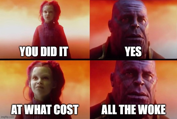 thanos what did it cost | YOU DID IT; YES; AT WHAT COST; ALL THE WOKE | image tagged in thanos what did it cost | made w/ Imgflip meme maker