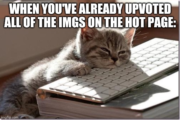 I'm so bored | WHEN YOU'VE ALREADY UPVOTED ALL OF THE IMGS ON THE HOT PAGE: | image tagged in bored keyboard cat,bored,imgflip | made w/ Imgflip meme maker