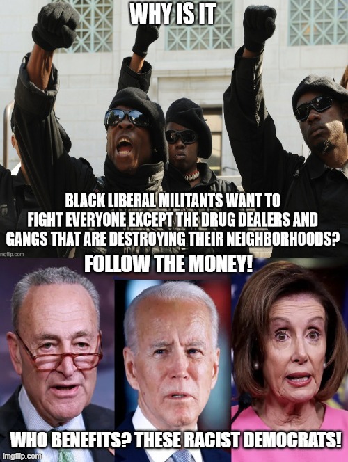 WHO  BENEFITS? RACIST DEMOCRATS! | image tagged in morons,idiots,cowards,stupid liberals,democrats,biden | made w/ Imgflip meme maker