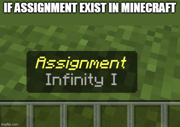 Infinity 1: Assignment | IF ASSIGNMENT EXIST IN MINECRAFT | image tagged in assignment,minecraft,minecraft assignment | made w/ Imgflip meme maker