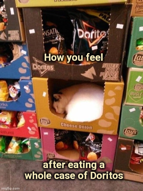 Where'd that Cat go ? | How you feel; after eating a whole case of Doritos | image tagged in heavy breathing cat,snacks,all day,sleepy cat,where's waldo,well yes but actually no | made w/ Imgflip meme maker