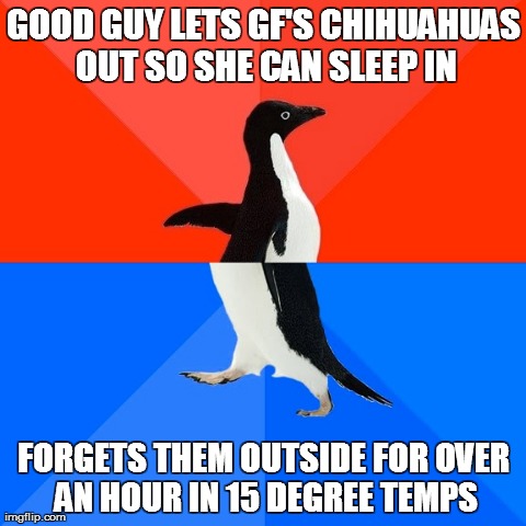 Socially Awesome Awkward Penguin Meme | GOOD GUY LETS GF'S CHIHUAHUAS OUT SO SHE CAN SLEEP IN FORGETS THEM OUTSIDE FOR OVER AN HOUR IN 15 DEGREE TEMPS | image tagged in memes,socially awesome awkward penguin,AdviceAnimals | made w/ Imgflip meme maker