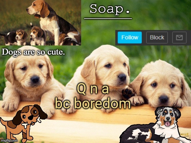 A s k m e s h i t | Q n a bc boredom | image tagged in soap doggo temp ty yachi | made w/ Imgflip meme maker