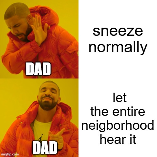 Drake Hotline Bling Meme | sneeze normally; DAD; let the entire neigborhood hear it; DAD | image tagged in memes,drake hotline bling | made w/ Imgflip meme maker