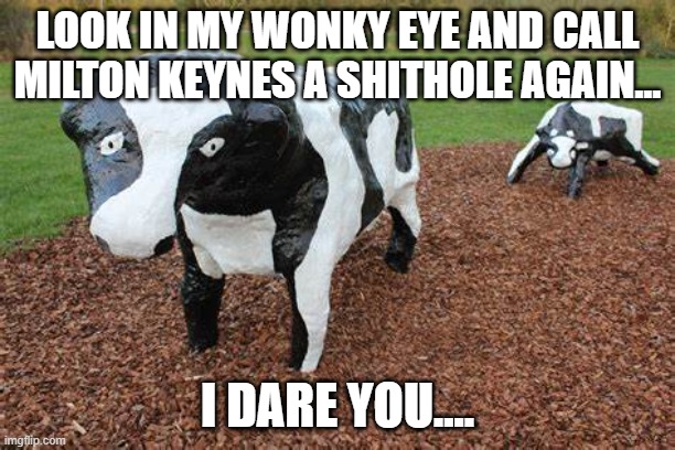Milton keynes | LOOK IN MY WONKY EYE AND CALL MILTON KEYNES A SHITHOLE AGAIN... I DARE YOU.... | image tagged in milton keynes | made w/ Imgflip meme maker