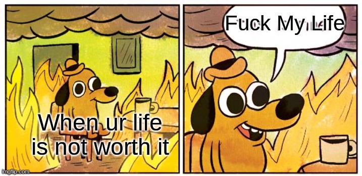 Feel me! | Fuck My Life; When ur life is not worth it | image tagged in memes,this is fine | made w/ Imgflip meme maker