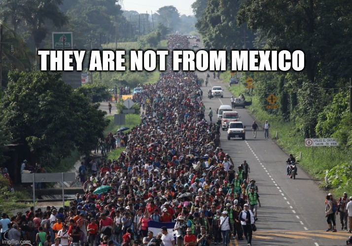 Migrant Caravan | THEY ARE NOT FROM MEXICO | image tagged in migrant caravan | made w/ Imgflip meme maker