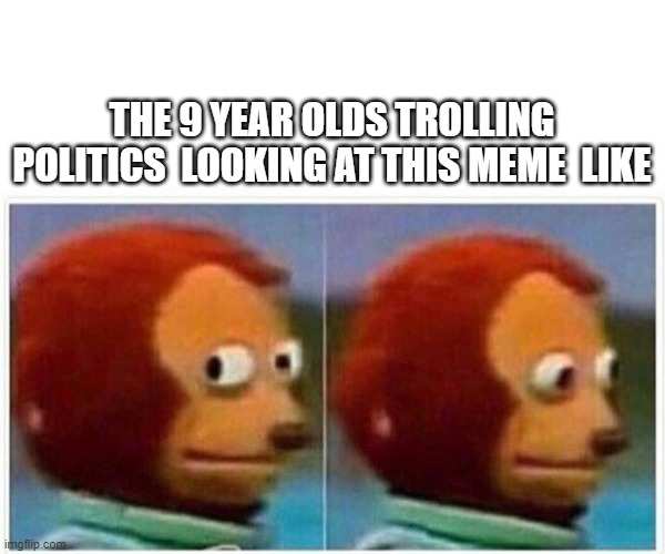 THE 9 YEAR OLDS TROLLING POLITICS  LOOKING AT THIS MEME  LIKE | made w/ Imgflip meme maker