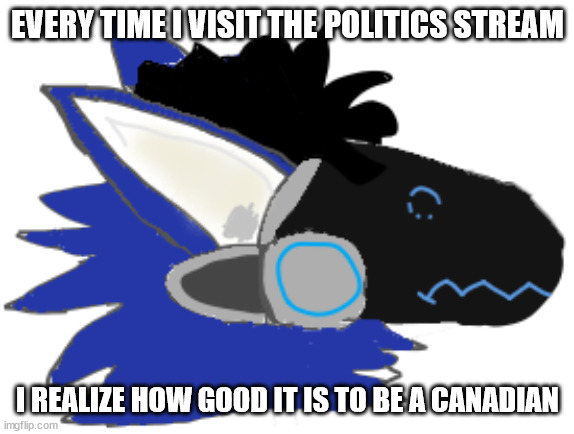 canada | EVERY TIME I VISIT THE POLITICS STREAM; I REALIZE HOW GOOD IT IS TO BE A CANADIAN | image tagged in canada | made w/ Imgflip meme maker