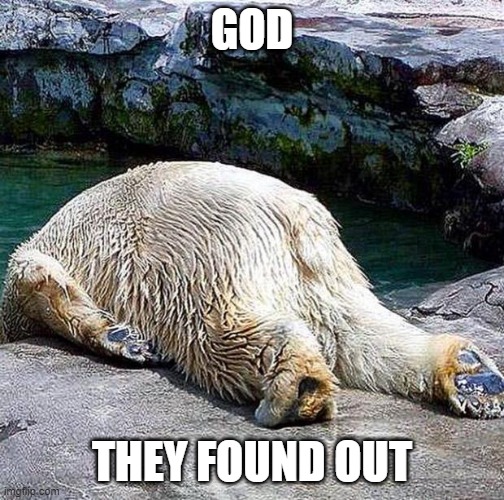 oh no not again  | GOD THEY FOUND OUT | image tagged in oh no not again | made w/ Imgflip meme maker