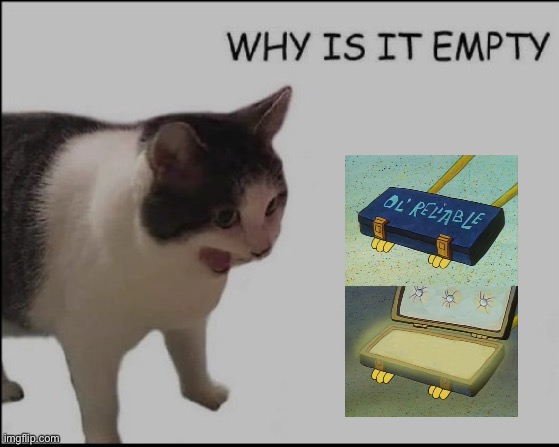 why is it empty? | image tagged in why is it empty | made w/ Imgflip meme maker