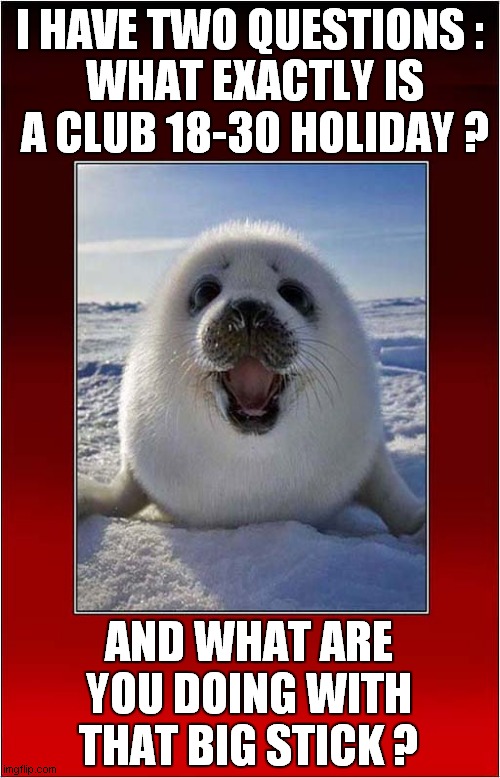 Going Out Clubbing ? | I HAVE TWO QUESTIONS :; WHAT EXACTLY IS A CLUB 18-30 HOLIDAY ? AND WHAT ARE YOU DOING WITH THAT BIG STICK ? | image tagged in happy seal,clubbing,dark humour | made w/ Imgflip meme maker