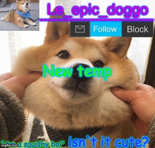 Am a squishy boi temp | New temp; isn't it cute? | image tagged in am a squishy boi temp | made w/ Imgflip meme maker