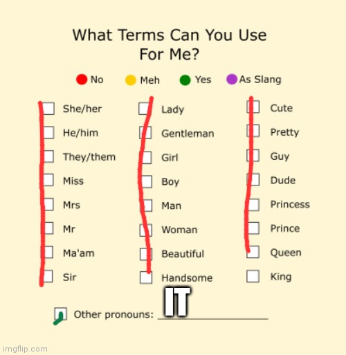 Pronouns Sheet | IT | image tagged in pronouns sheet | made w/ Imgflip meme maker