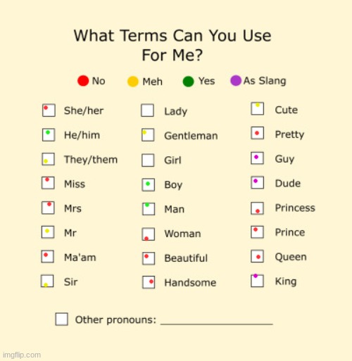 *Title here* | image tagged in pronouns sheet | made w/ Imgflip meme maker