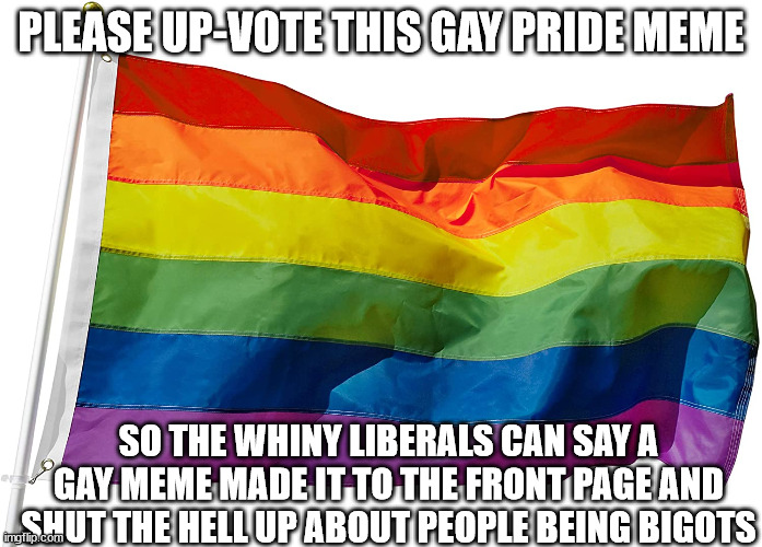 STFU | PLEASE UP-VOTE THIS GAY PRIDE MEME; SO THE WHINY LIBERALS CAN SAY A GAY MEME MADE IT TO THE FRONT PAGE AND SHUT THE HELL UP ABOUT PEOPLE BEING BIGOTS | image tagged in gay pride,stupid liberals | made w/ Imgflip meme maker