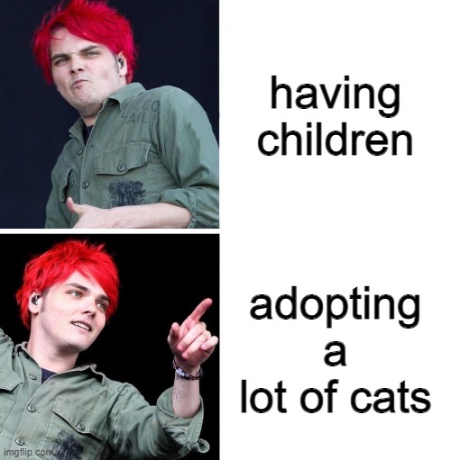 relatable meme with gerard way | having children; adopting a lot of cats | image tagged in gerard drake hotline bling,memes,relatable,emo,gerard way,cats | made w/ Imgflip meme maker