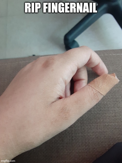 RIP FINGERNAIL | made w/ Imgflip meme maker