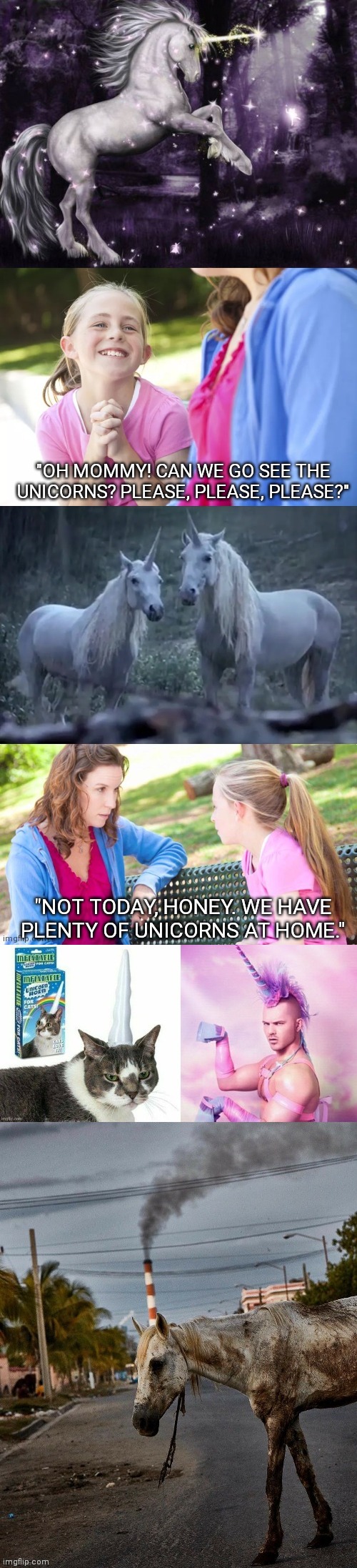 This scene took place in the state of Caliunicornia. | "OH MOMMY! CAN WE GO SEE THE UNICORNS? PLEASE, PLEASE, PLEASE?"; "NOT TODAY, HONEY. WE HAVE PLENTY OF UNICORNS AT HOME." | image tagged in girl begging mom to see unicorns,unicorns we have at home | made w/ Imgflip meme maker