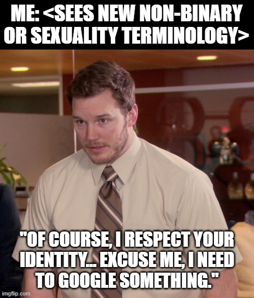 Yes, sometimes it's like this. Even for allies. | ME: <SEES NEW NON-BINARY
OR SEXUALITY TERMINOLOGY>; "OF COURSE, I RESPECT YOUR
IDENTITY... EXCUSE ME, I NEED
TO GOOGLE SOMETHING." | image tagged in memes,afraid to ask andy | made w/ Imgflip meme maker