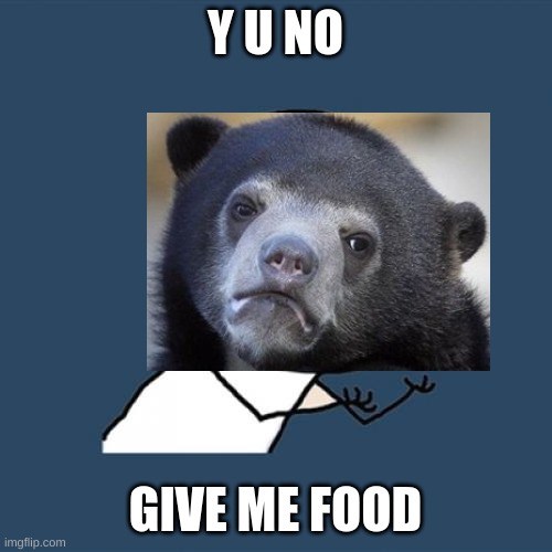 Y U No Meme | Y U NO GIVE ME FOOD | image tagged in memes,y u no | made w/ Imgflip meme maker