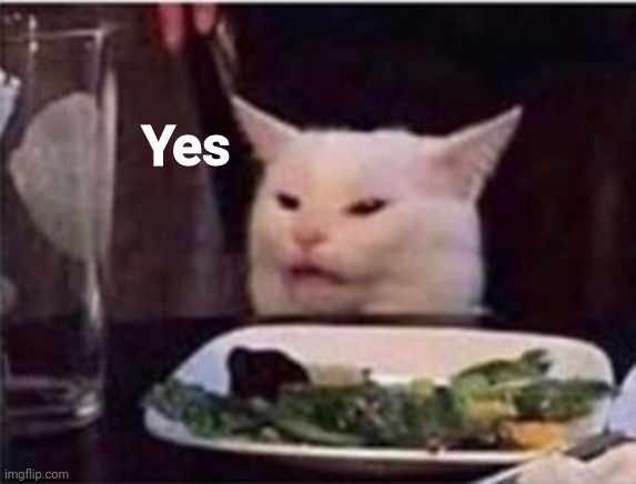 white dinner table cat | Yes | image tagged in white dinner table cat | made w/ Imgflip meme maker