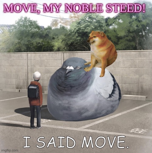 birb jockey | MOVE, MY NOBLE STEED! I SAID MOVE. | image tagged in beeg birb,noble steed,cheems | made w/ Imgflip meme maker