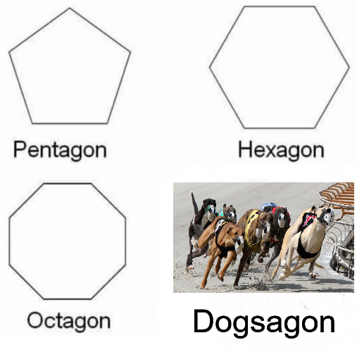 Pentagon Hexagon Octagon | Dogsagon | image tagged in memes,pentagon hexagon octagon | made w/ Imgflip meme maker