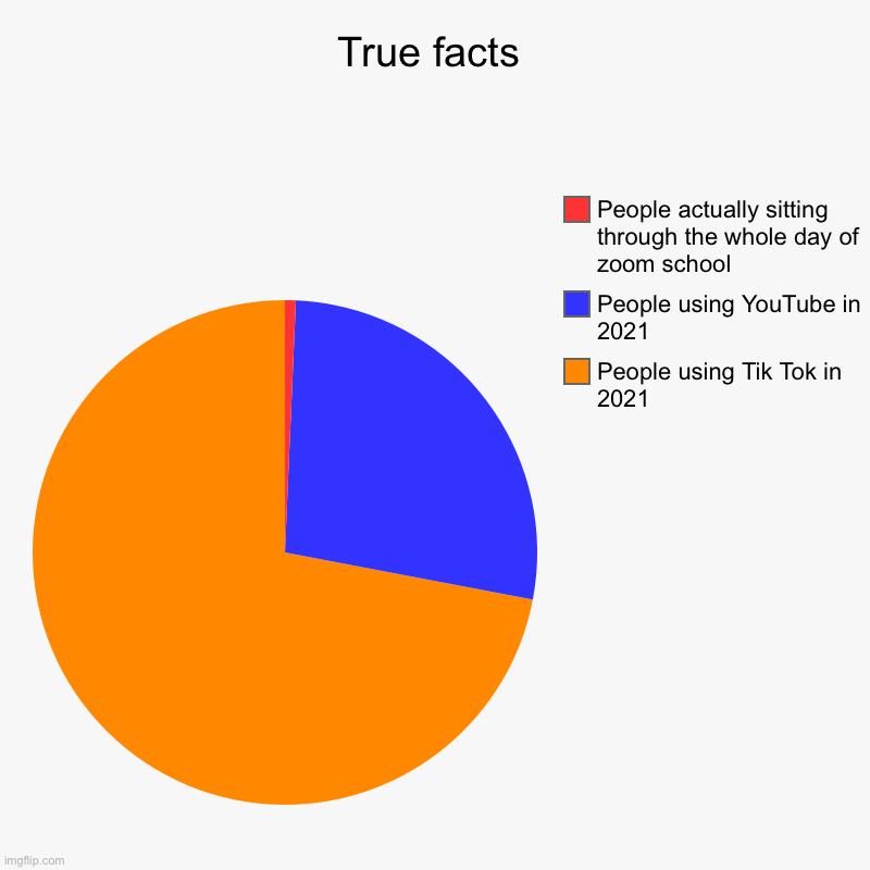 True facts | People using Tik Tok in 2021, People using YouTube in 2021, People actually sitting through the whole day of zoom school | image tagged in charts,pie charts | made w/ Imgflip chart maker