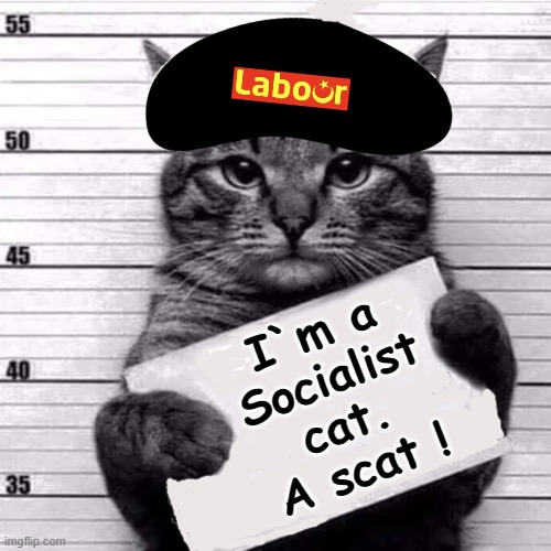 Socialist Cat (Scat) | I`m a
Socialist
cat.
A scat ! | image tagged in socialism | made w/ Imgflip meme maker