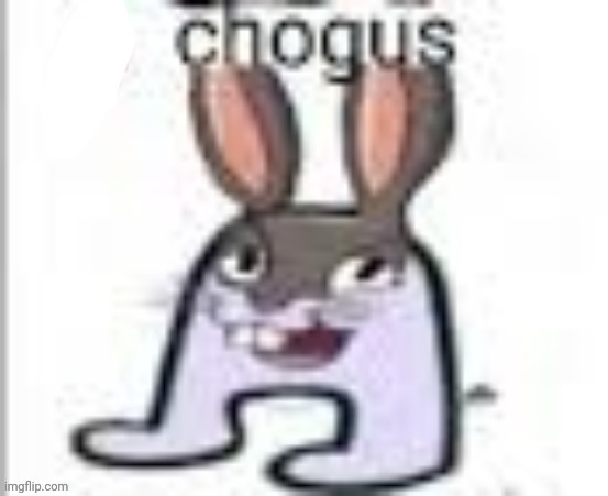 chogus | made w/ Imgflip meme maker