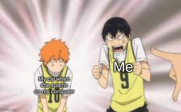 Kageyama yelling at Hinata | Me; My cat when she spams on my computer | image tagged in kageyama yelling at hinata | made w/ Imgflip meme maker